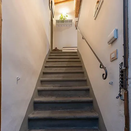 San Zanobi Nest In Florence